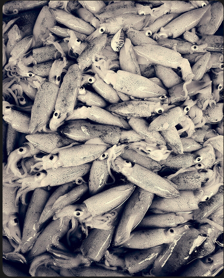 Calç i més calç - Tinta de calamar #1