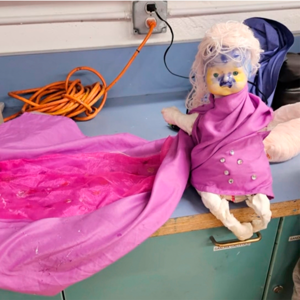 Les protestes a Iran, Groenlàndia, Julio Iglèsias, Wikipedia i nines diabòliques. Newsletter 18/01/2026