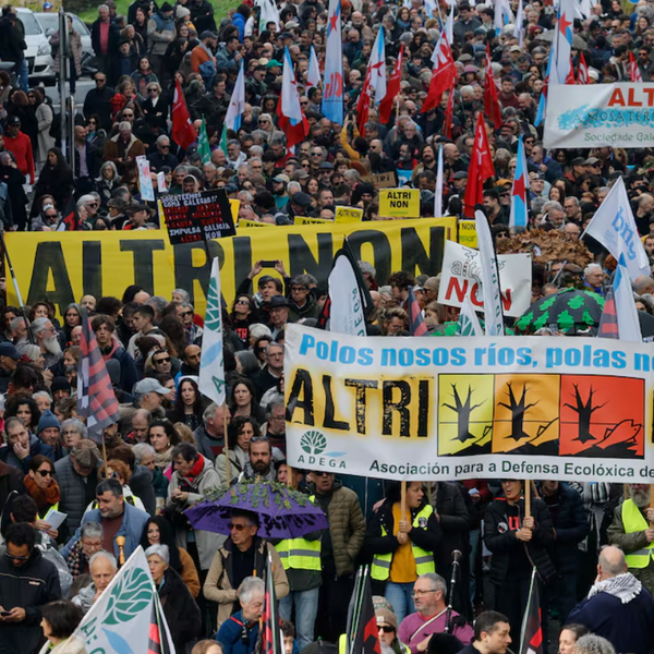 Epstein, policies, VPOs i Altri non i molt més. Newsletter 22/02